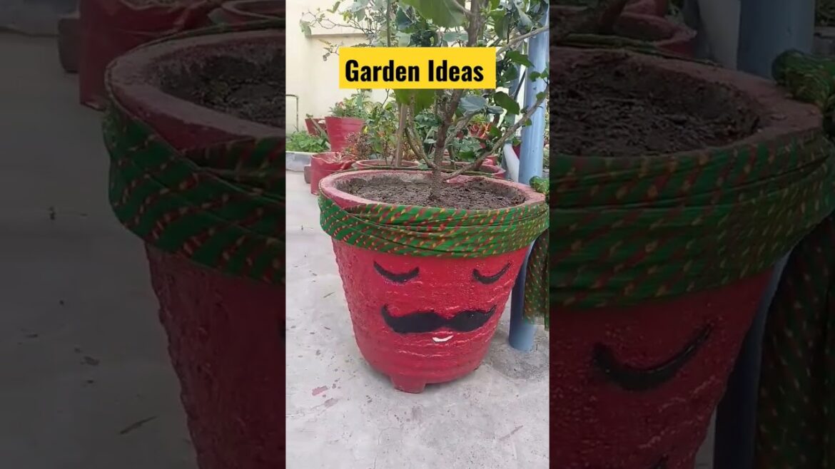 Garden Ideas l Unique Garden Ideas #shorts #viral