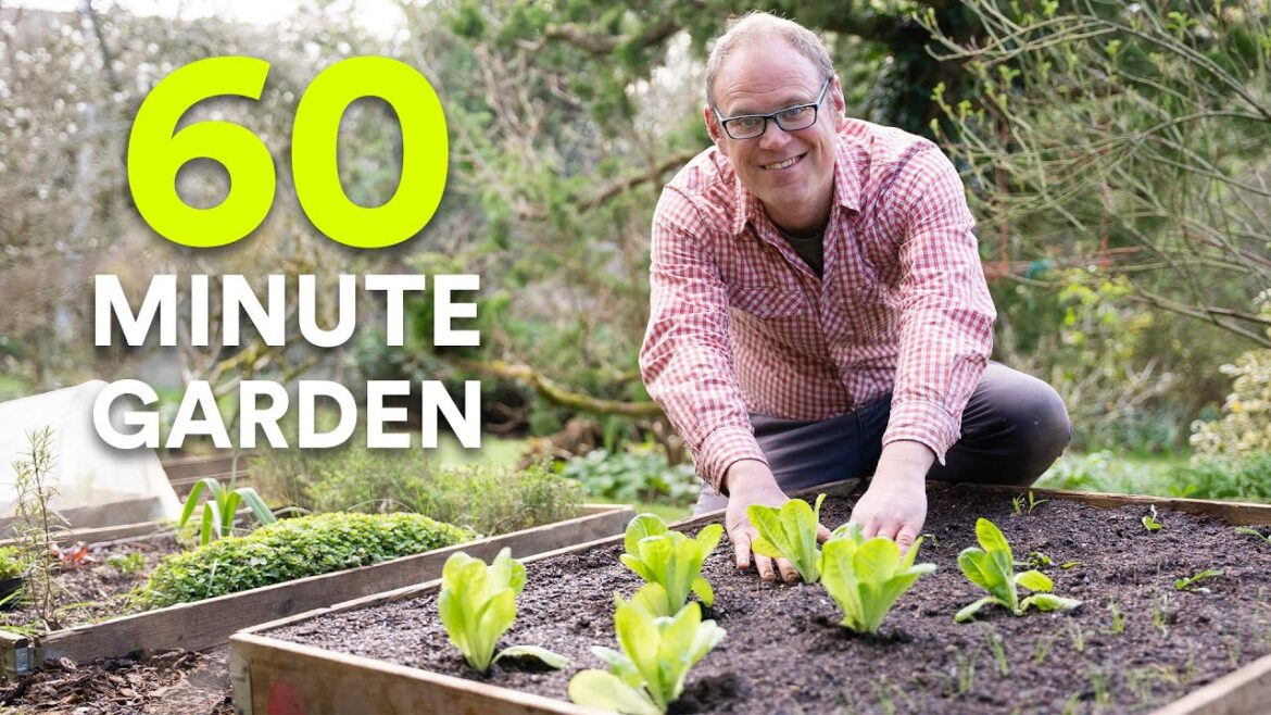 Start a Garden In 60 Minutes