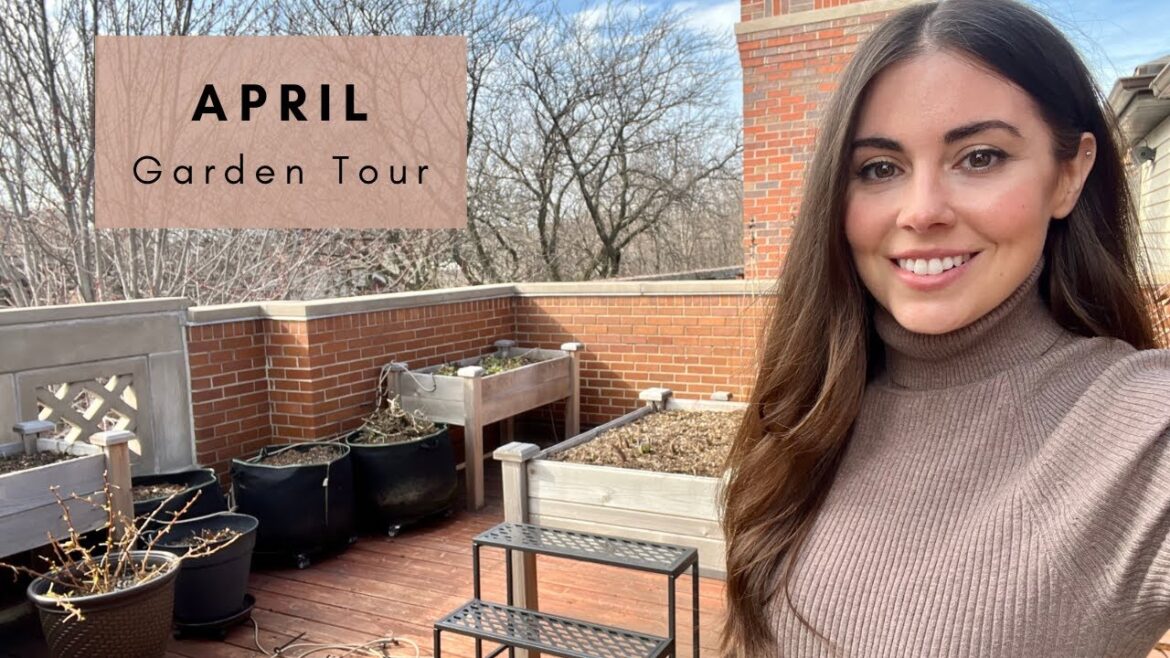 April Container Garden Tour | Rooftop Balcony Garden