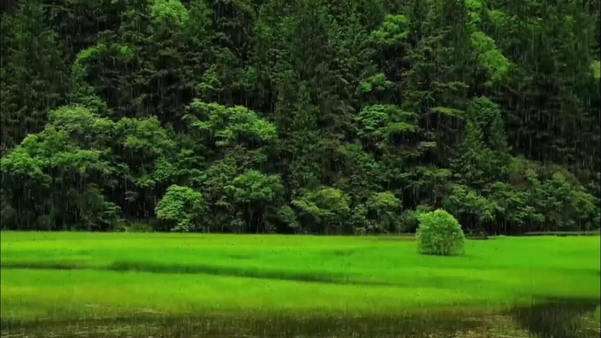 Healing Meditation by Balancing Stones | Zen Garden Healing Meditation by Balancing Stones | Zen Garden