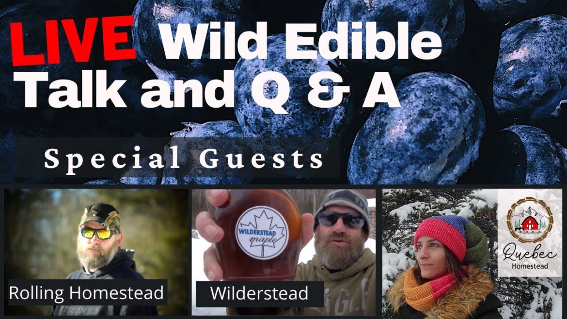 Wild Edible Talk Survival gardening with special guests | Canada and U.S.A Wild Edible Talk Survival gardening with special guests | Canada and U.S.A
