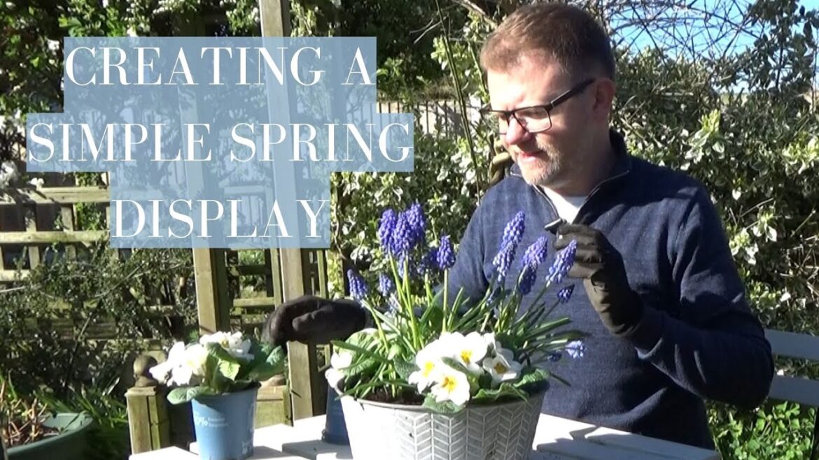 Simple and Effective Spring Planting Scheme for Containers | Container Gardening | Spring Display