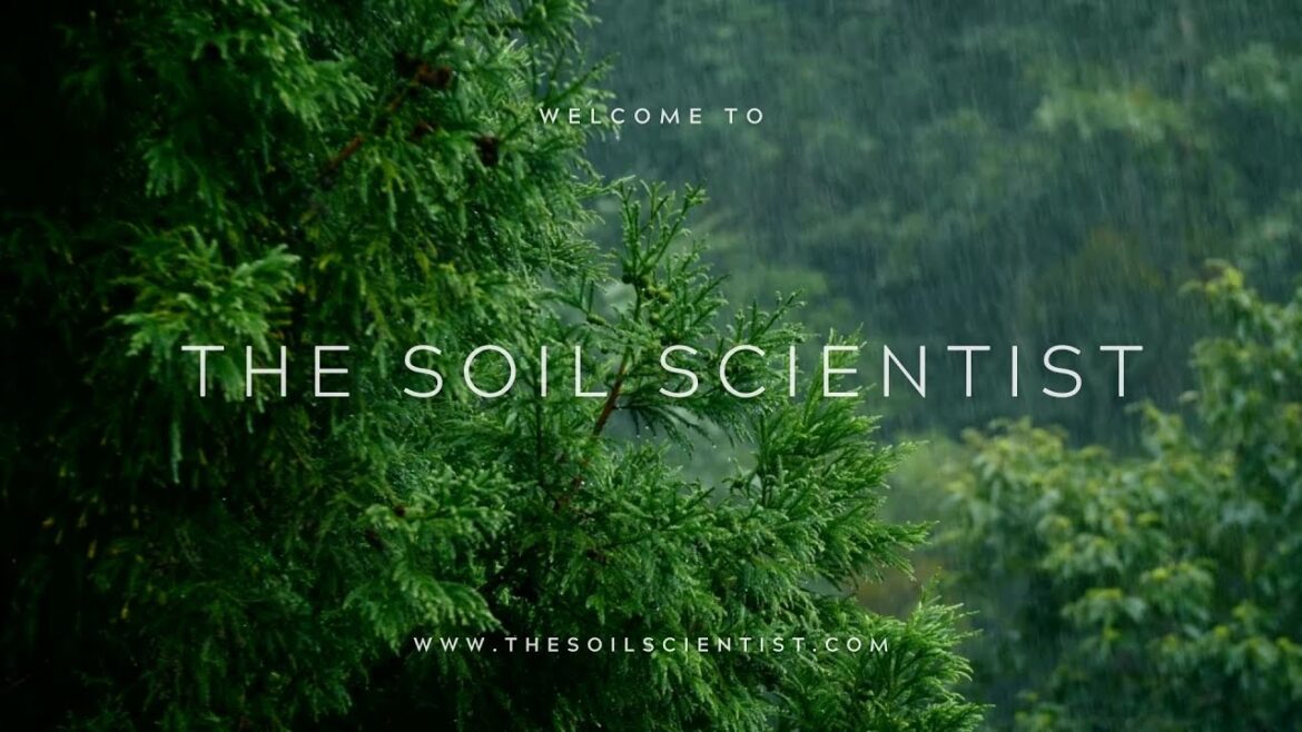 the soil scientist Introduction