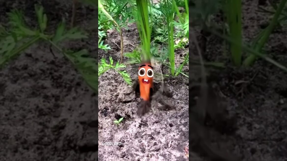Goodland | Carrot is free 🥕 #goodland #shorts #doodles #doodlesart