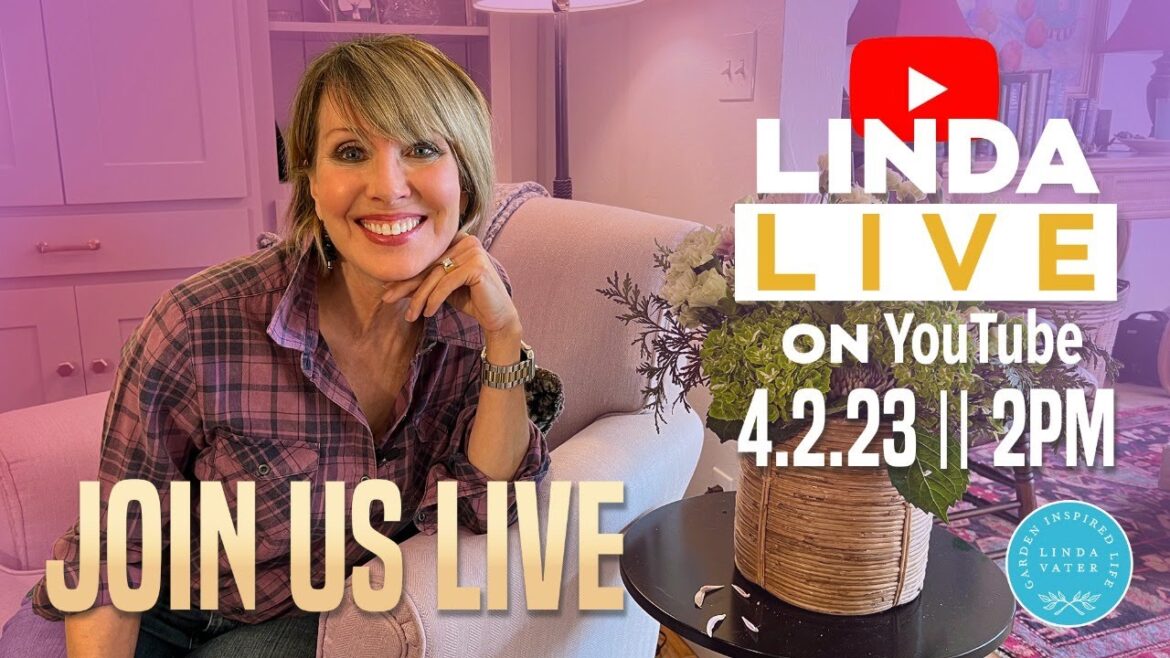 Linda Live! Lets Talk!