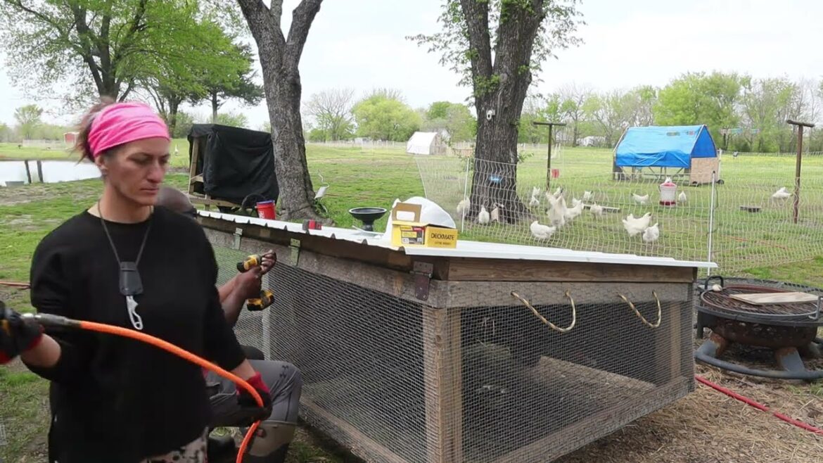 Raising Rabbits | NEW Rabbit Tractor, Weaning, Sexing, and Tattooing