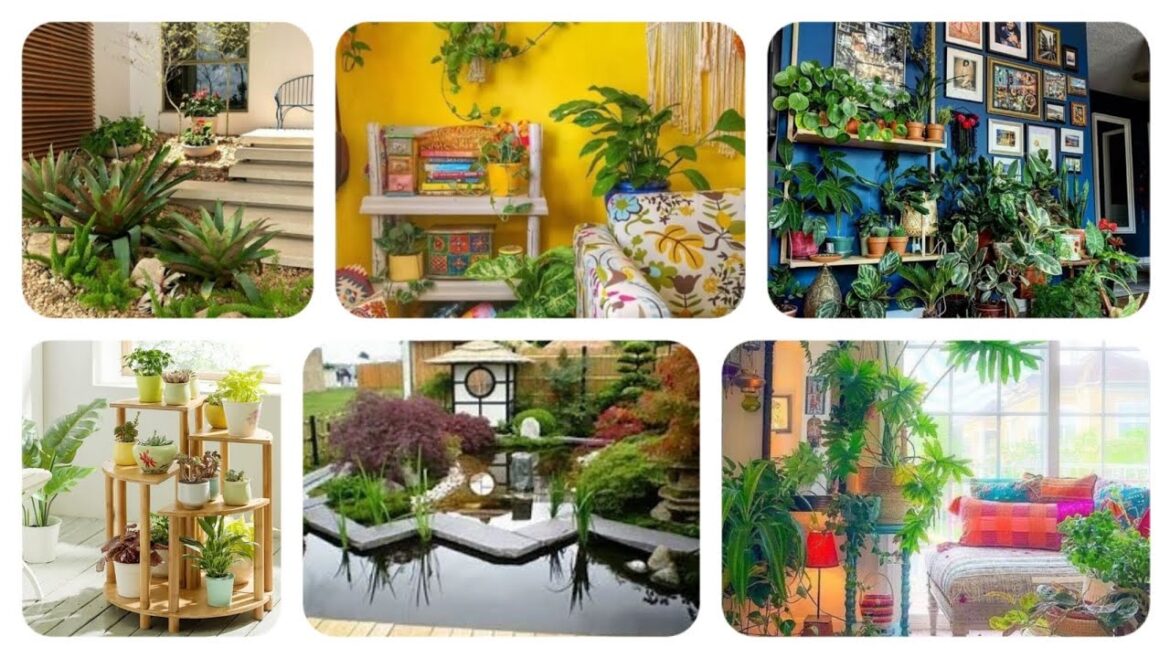 Most Beautiful and unique Indoor Garden decor ideas 2023 -2024 : gardening ideas for home😇😇😇 Most Beautiful and unique Indoor Garden decor ideas 2023 -2024 : gardening ideas for home😇😇😇