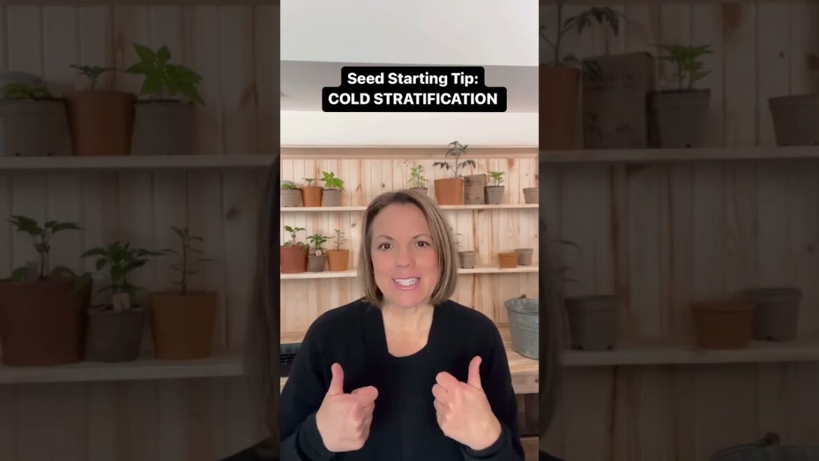 ✨ You have to try this seed starting tip! ❄️🌱 #gardentips #seedstarting #coldstratification