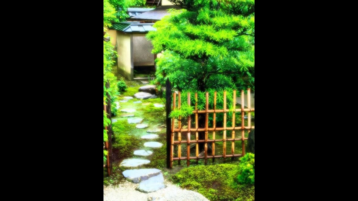【Japanese Landscape】#shorts #Japan #garden #temple #beautiful