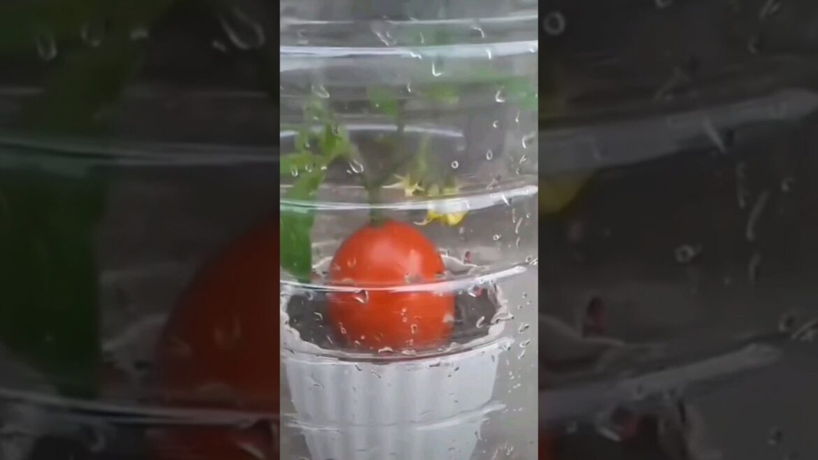 Unbelievable planting hack