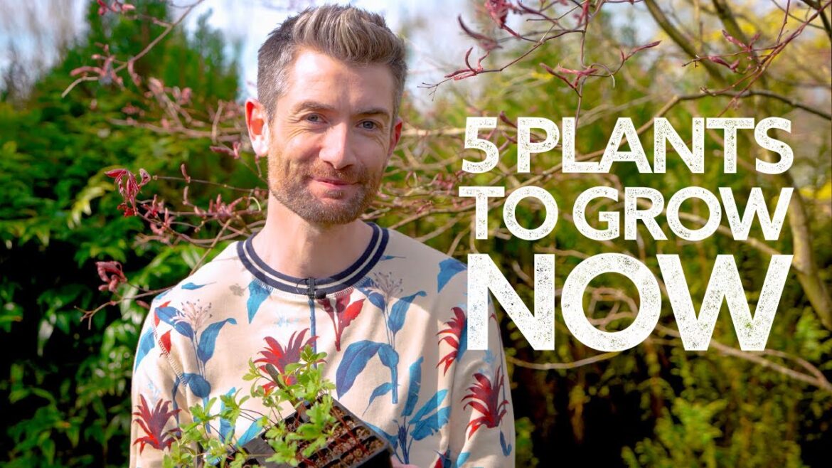 What to Grow in April | Just 5 Things to Plant Now!