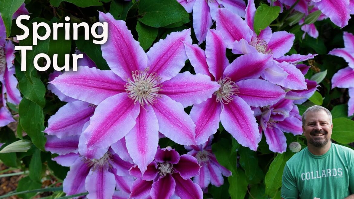 Spring Garden Tour – It’s waking up fast!! Spring Garden Tour - It's waking up fast!!