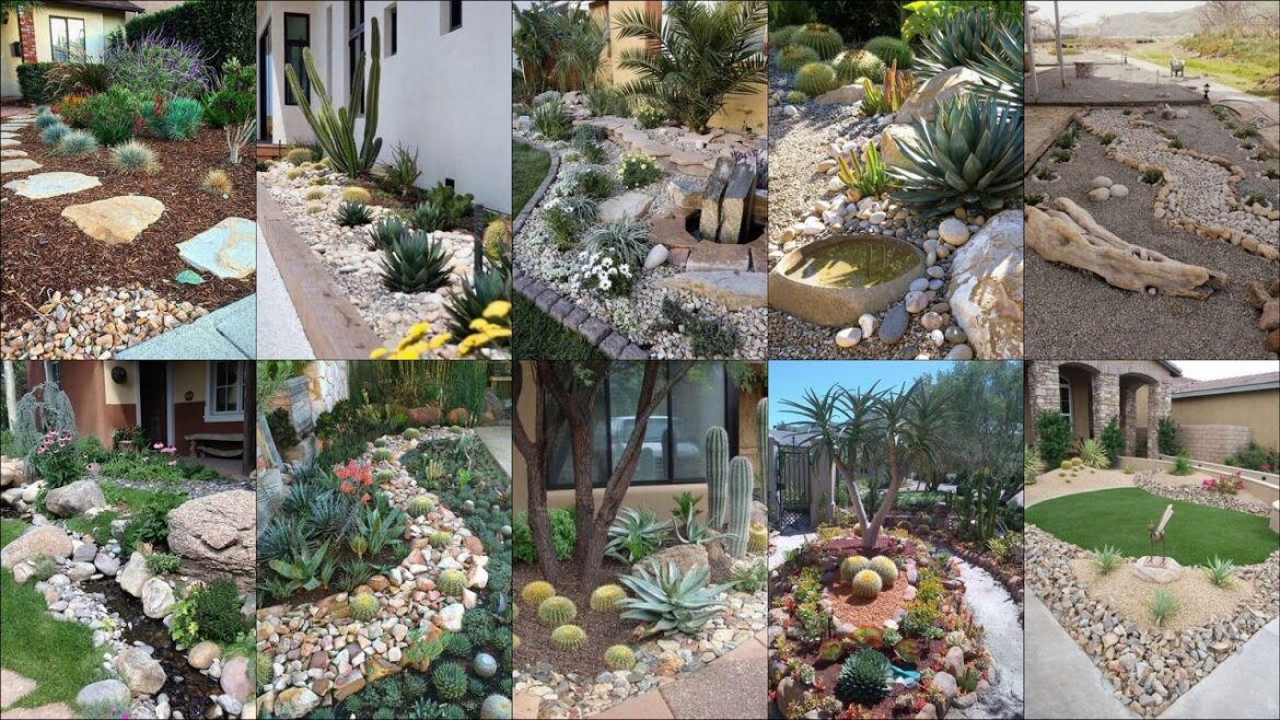 50+ Stunning Desert Landscape Garden Ideas | Drought Tolerant Garden Ideas