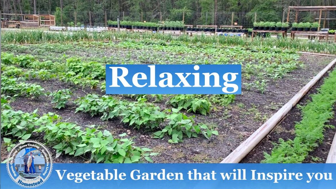 Spring Vegetable Garden Video that will Inspire you - Relaxing