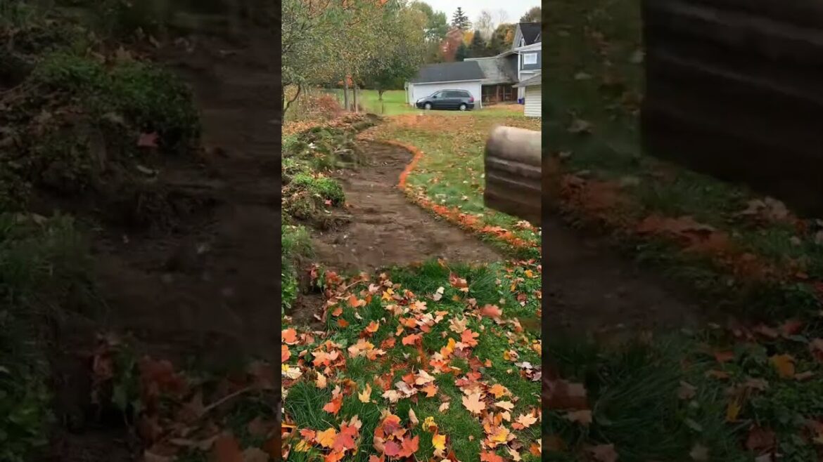 Yard Revamp: Bobcat Landscaping Transformation!!! #shorts #landscape #trending #livegood #viral Yard Revamp: Bobcat Landscaping Transformation!!! #shorts #landscape #trending #livegood #viral