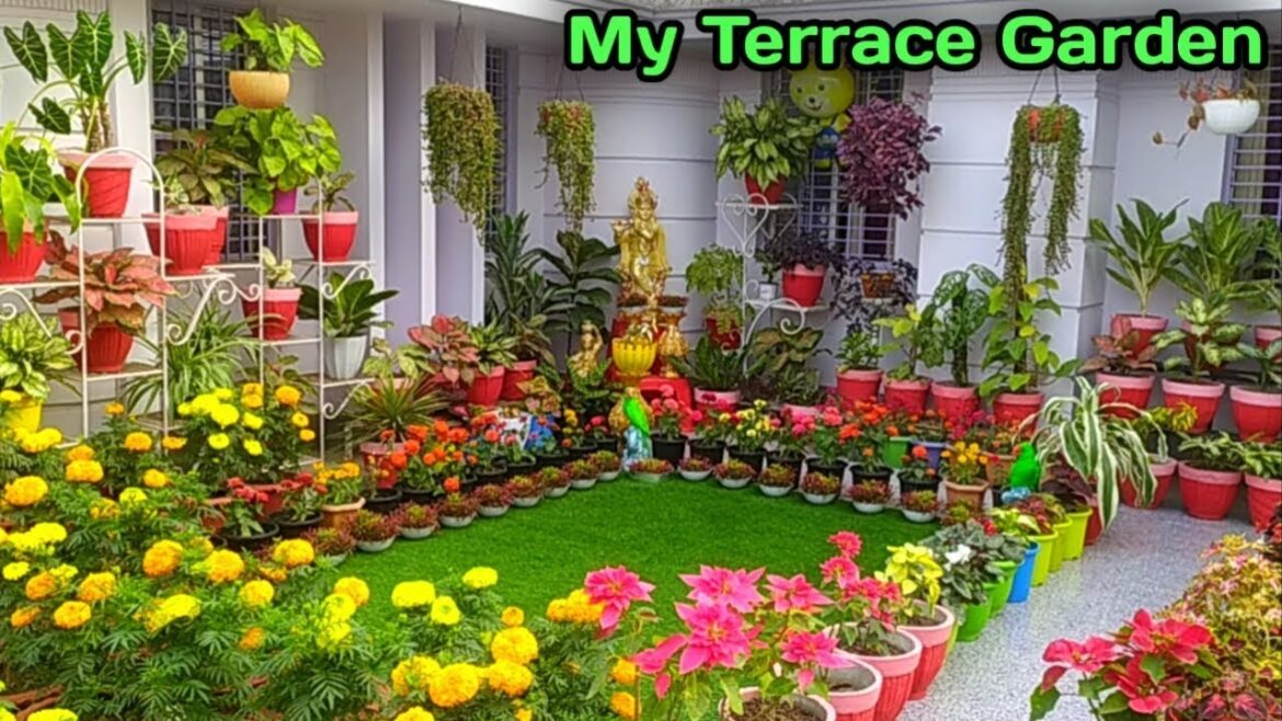 Rooftop Terrace Garden Transformation | Terrace Makeover | DIY Ideas | Small garden design. Rooftop Terrace Garden Transformation | Terrace Makeover | DIY Ideas | Small garden design.
