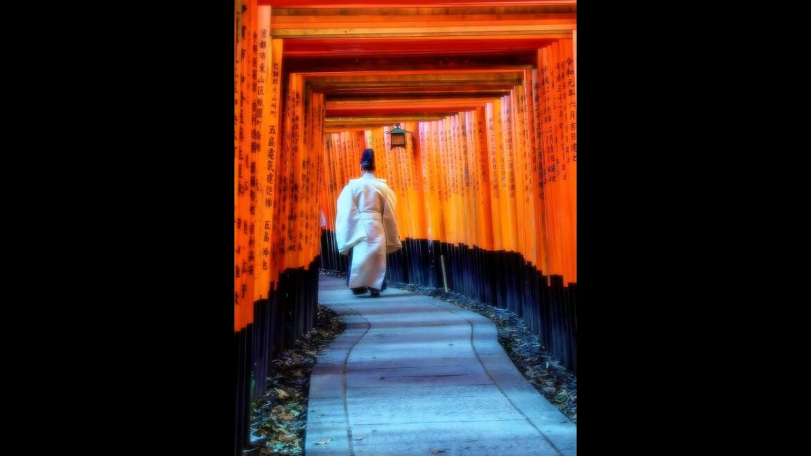 【Japanese Landscape】#shorts #Japan #view #japanese #garden