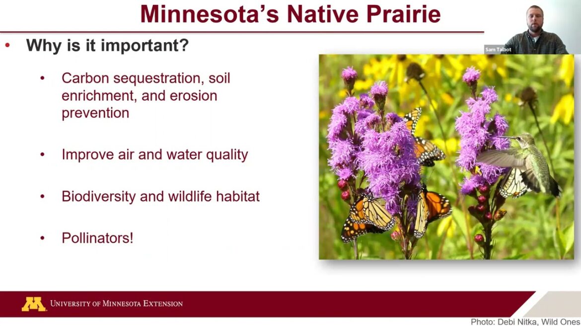 Starting a Pocket Prairie with Sam Talbot, UMN Extension Local Extension Educator, Dakota County Starting a Pocket Prairie with Sam Talbot, UMN Extension Local Extension Educator, Dakota County