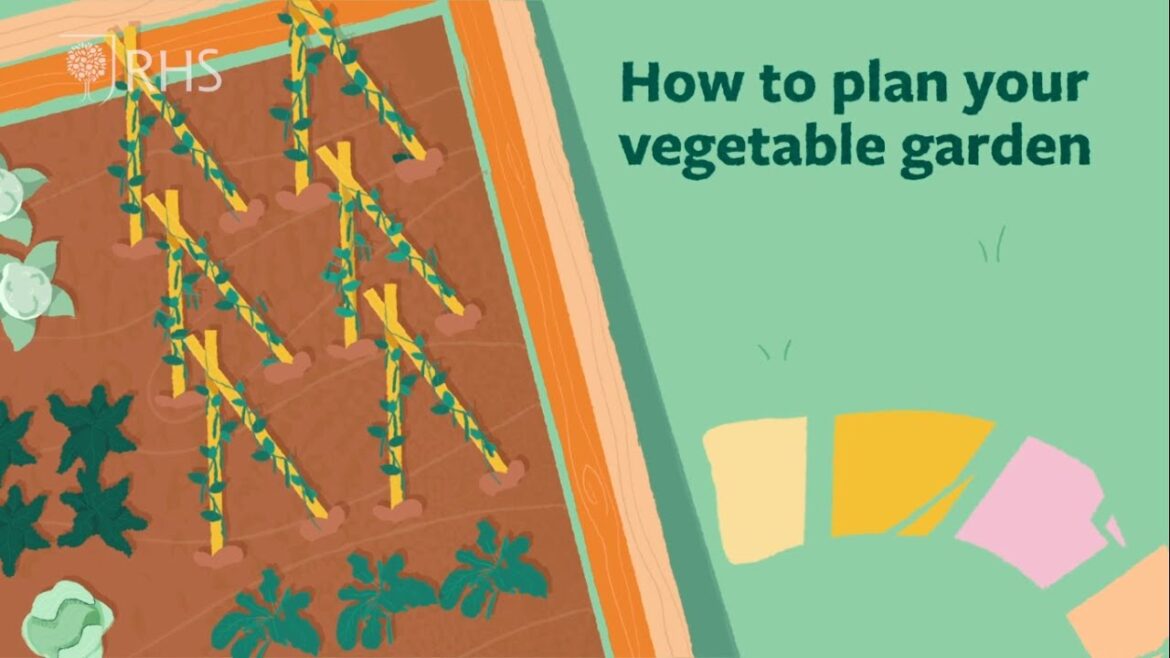How to Plan your Vegetable Garden🥕 | Royal Horticultural Society
