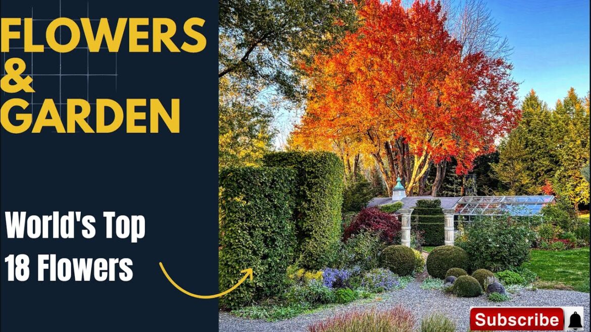 TOP 18 WORLD FAMOUS FLOWER AND GARDENING VIDEO