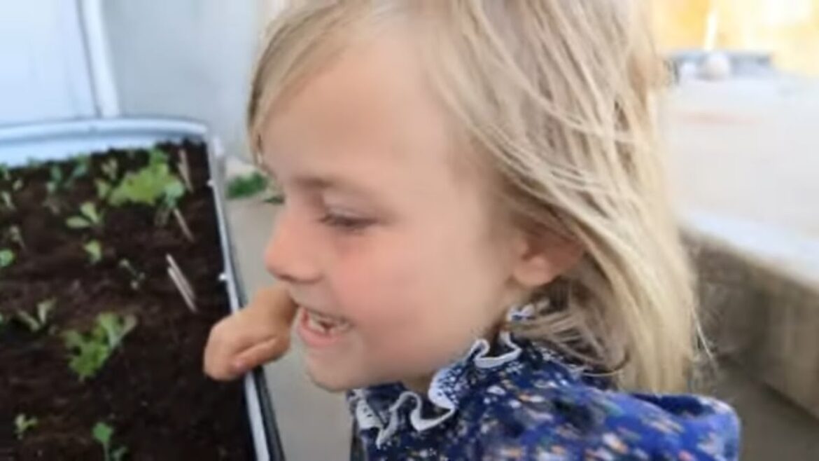 Simple Raised Garden Bed Ideas / This One Is FANTASTIC! (VEGEGA Review)