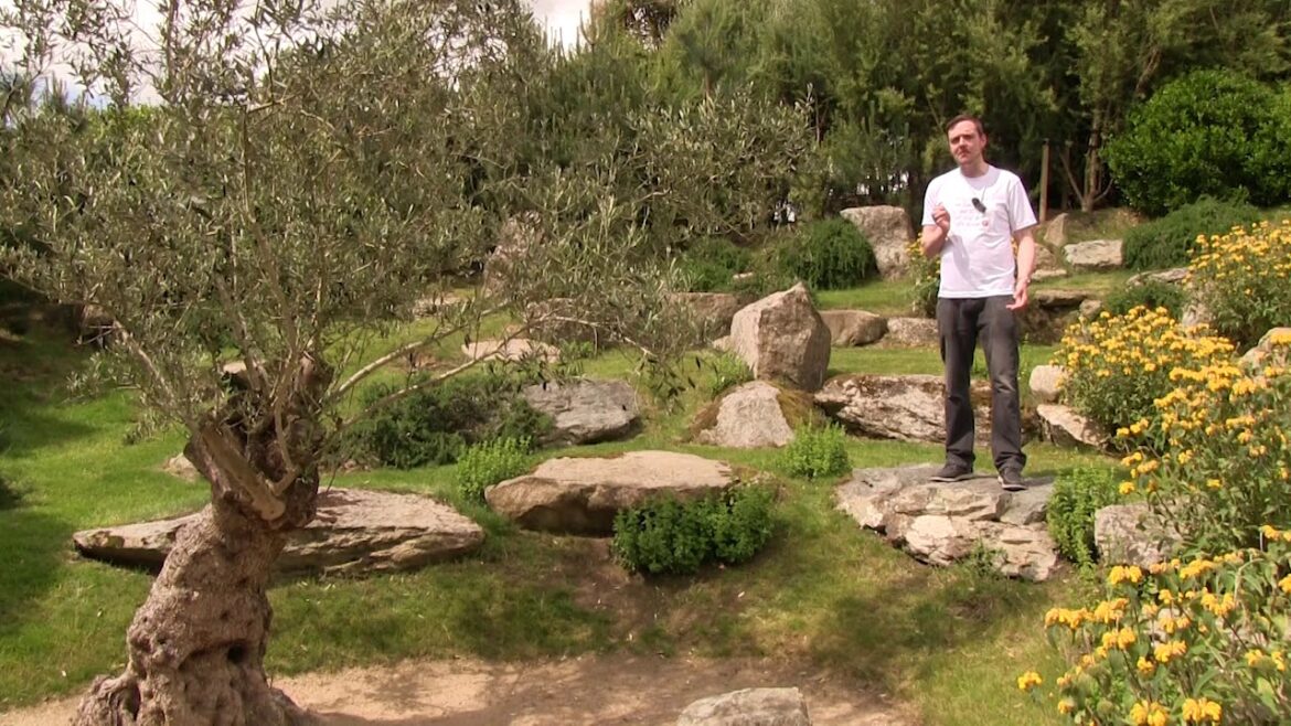 Free Tour of Lafcadio Hearn Japanese Gardens Free Tour of Lafcadio Hearn Japanese Gardens