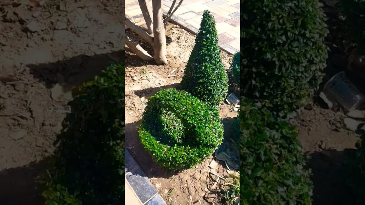 beautiful garden design ideas #gardening #kitchengardening #landscapeing #flower