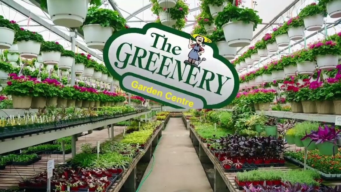 The Greenery Garden Centre 2023