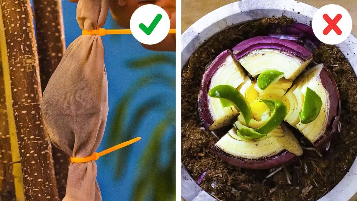 Blooming Brilliance: Creative Ideas for a Stunning Garden Display Blooming Brilliance: Creative Ideas for a Stunning Garden Display