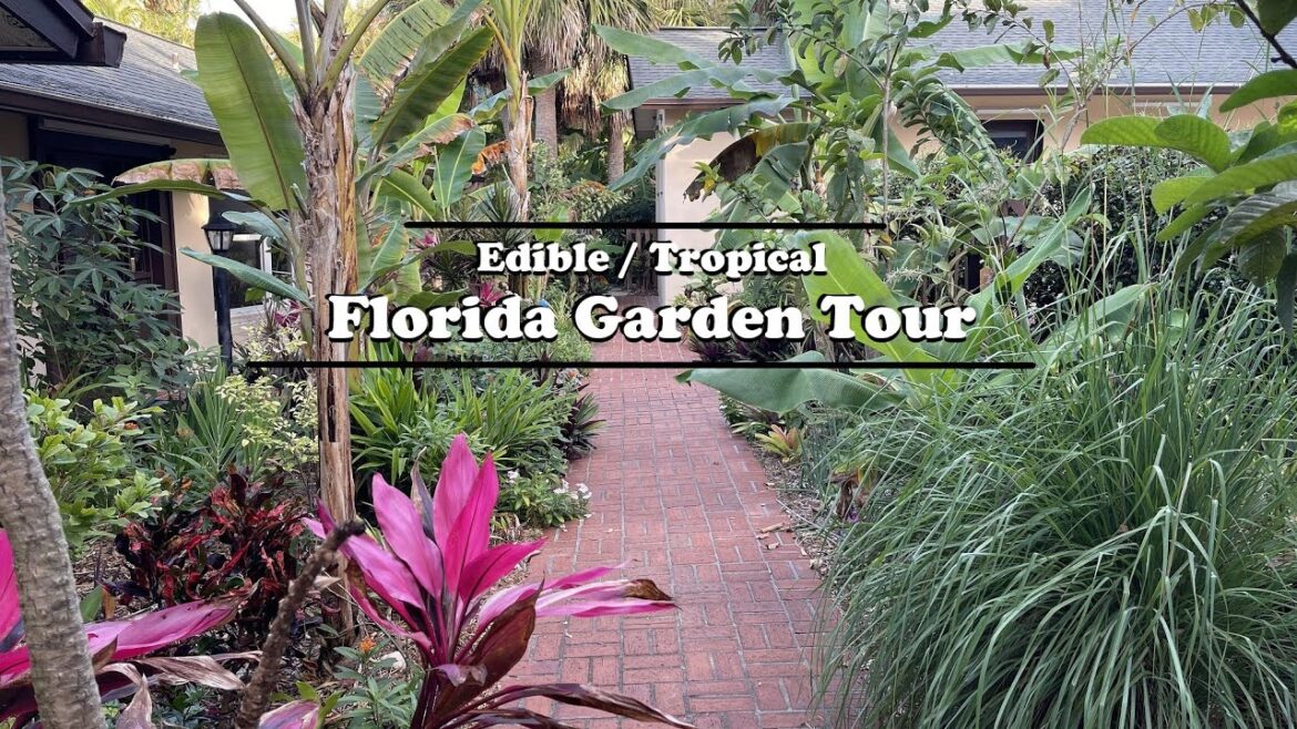 Florida Organic Edible / Tropical Garden Food Forest Tour | April Zone 10a