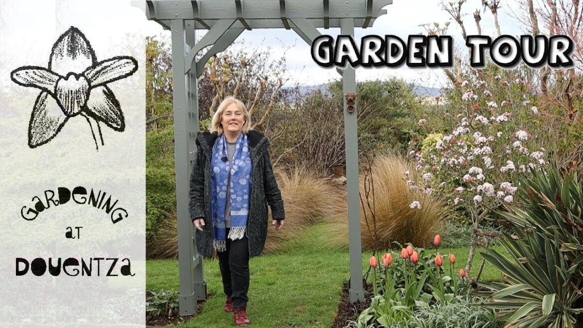Spring Garden Tour || March Pruning, Pot Displays, Box Blight & Winter Losses