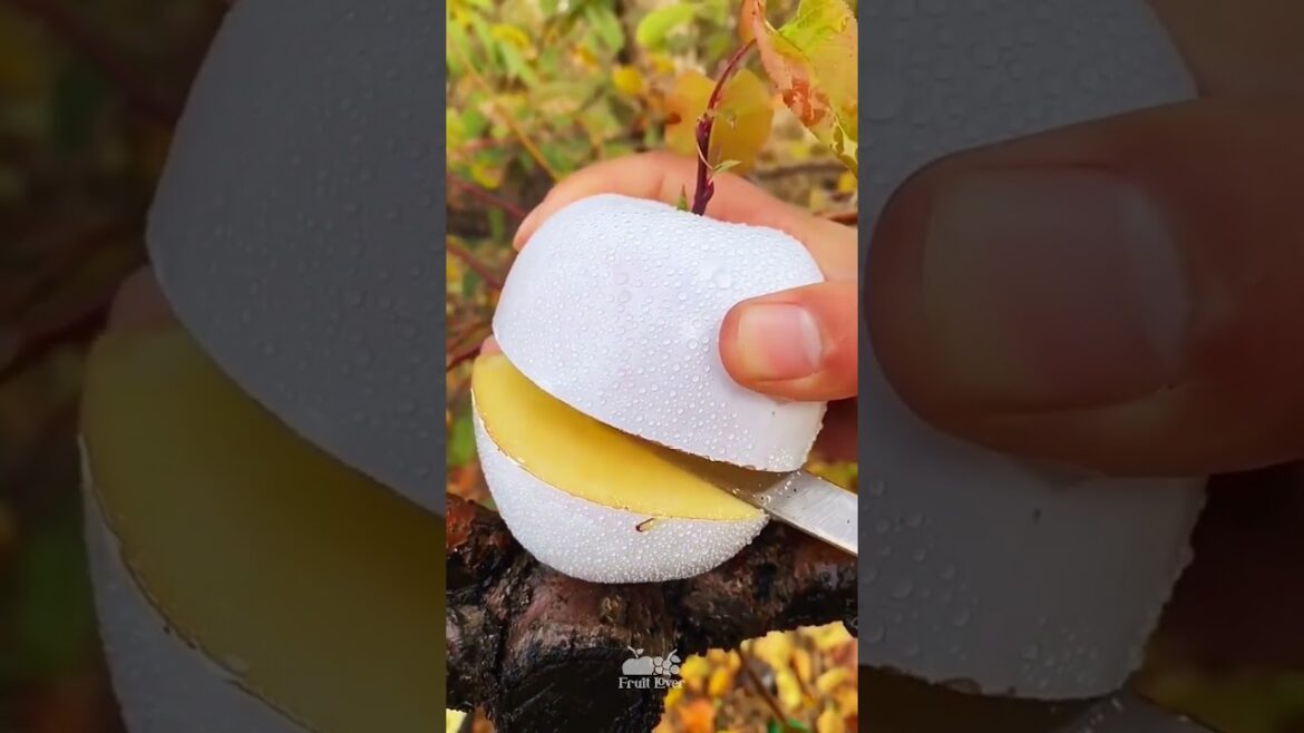 Best Oddly Satisfying Video & Relaxing Music | apple fruit cutting video #viral #shorts #food #16