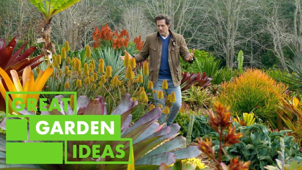 Show Stopper Garden | GARDEN | Great Home Ideas Show Stopper Garden | GARDEN | Great Home Ideas