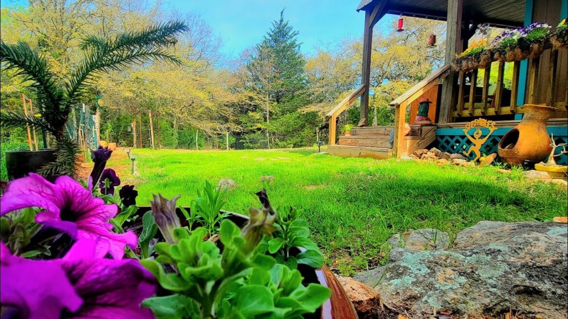 Tiny Home Gardening