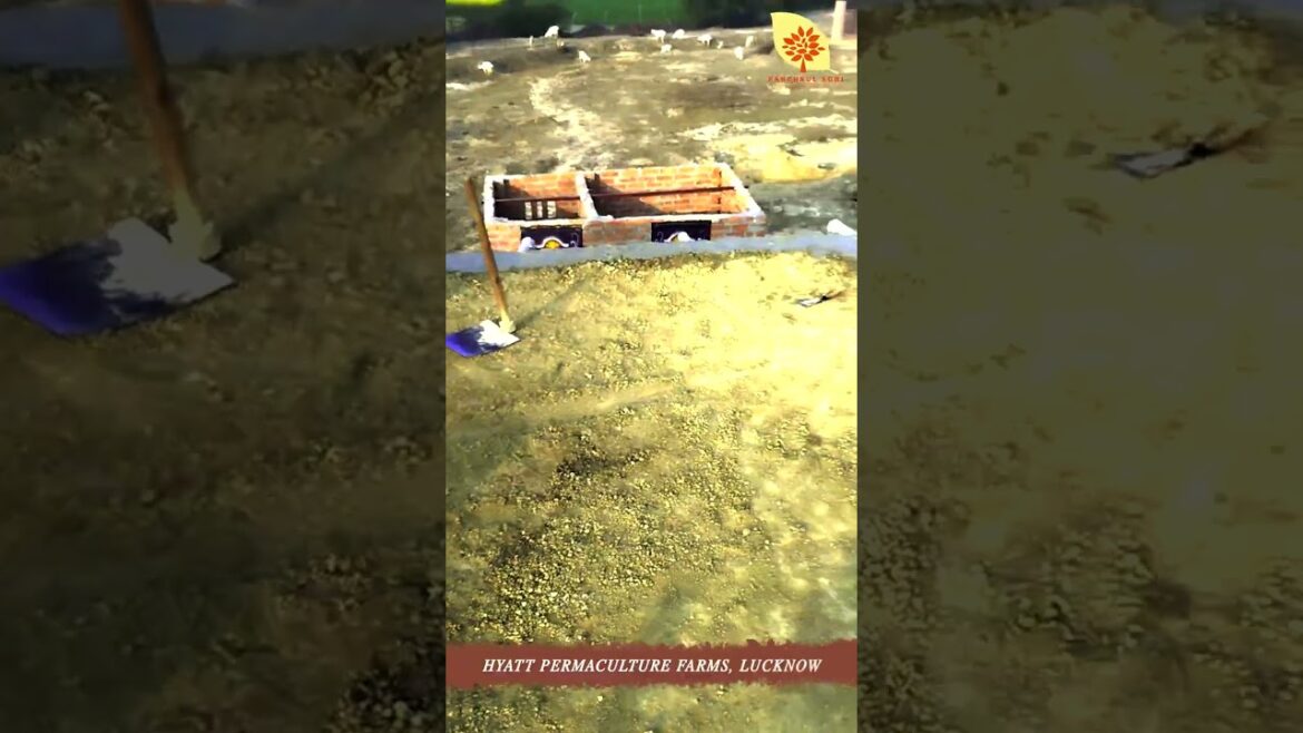 Hayat Permaculture Farms | Lucknow #youtubeshorts #shorts #shortvideo #shortsvideo