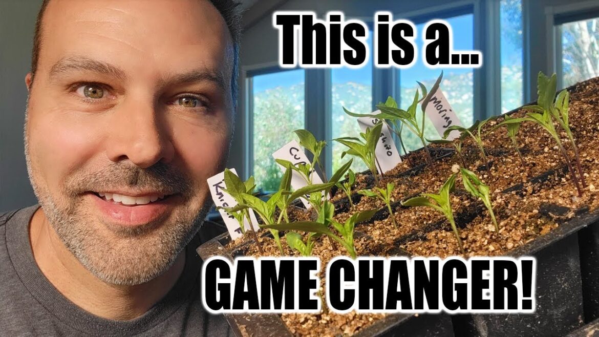 My New Favorite Seed Starting Method!