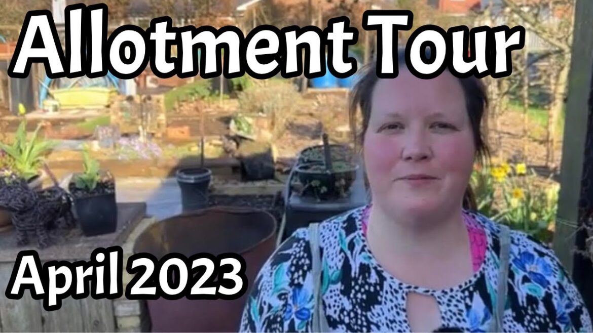 April 2023: Full Allotment Tour: 2 plots (Manchester, UK): Allotment UK: Vegetable Garden