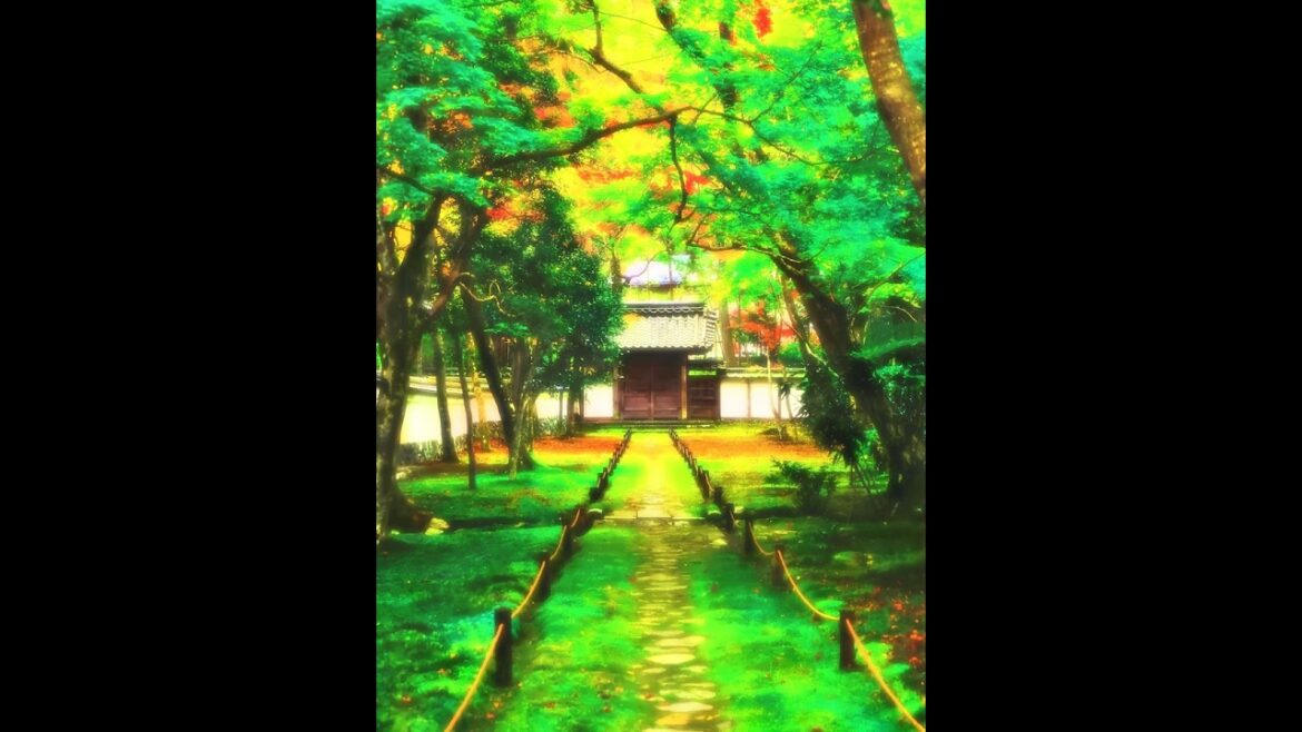 【Japanese Landscape】#shorts #Japan #japanese #nostalgia #garden