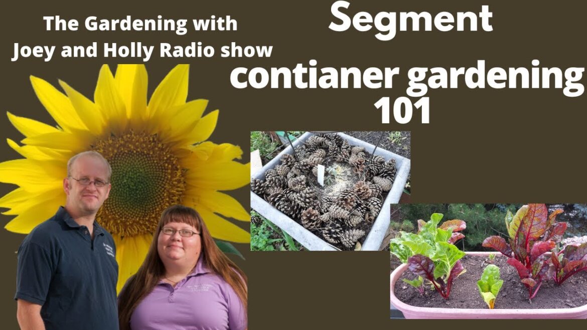Seg 2 of S7E5 container gardening 101-in studio video of The Gardenig with Joey and Holly Radio Show Seg 2 of S7E5 container gardening 101-in studio video of The Gardenig with Joey and Holly Radio Show
