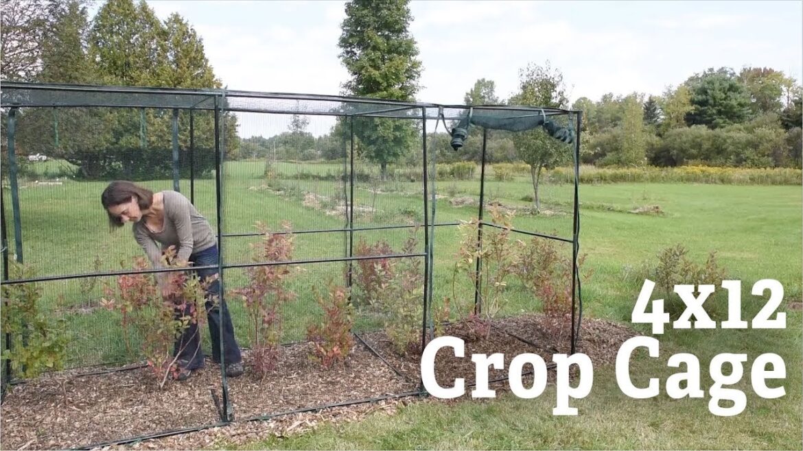 A Closer Look at the 4′ x 12′ Crop Cage | Gardener’s Supply A Closer Look at the 4' x 12' Crop Cage | Gardener's Supply