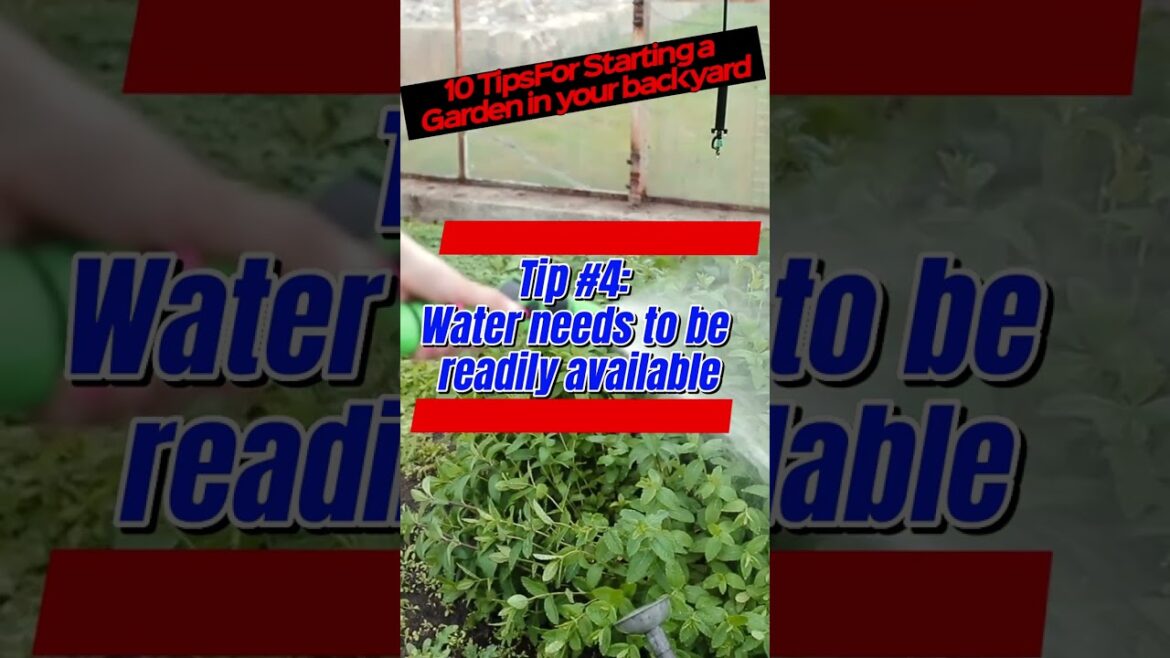 Gardening Tips #4: Water needs to be readily available