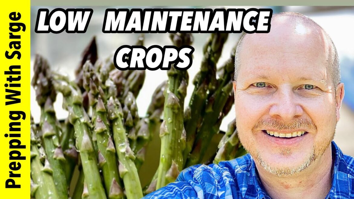 Gardening Abundance for Decades of Food!