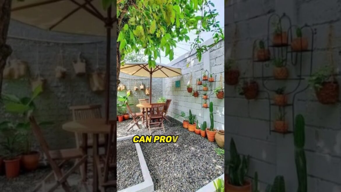 Small Outdoor Landscape ideas #youtubeshorts #shorts #short Small Outdoor Landscape ideas #youtubeshorts #shorts #short