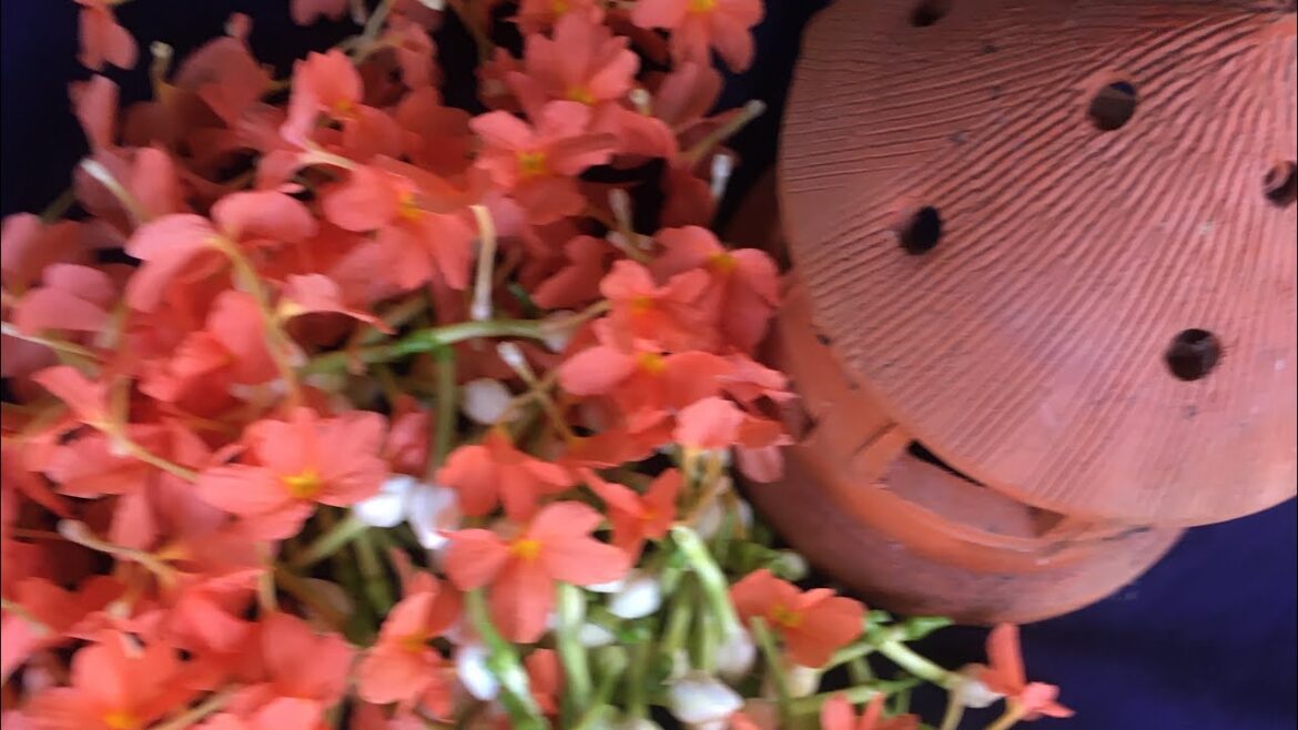 Poola jada// poolajada veni