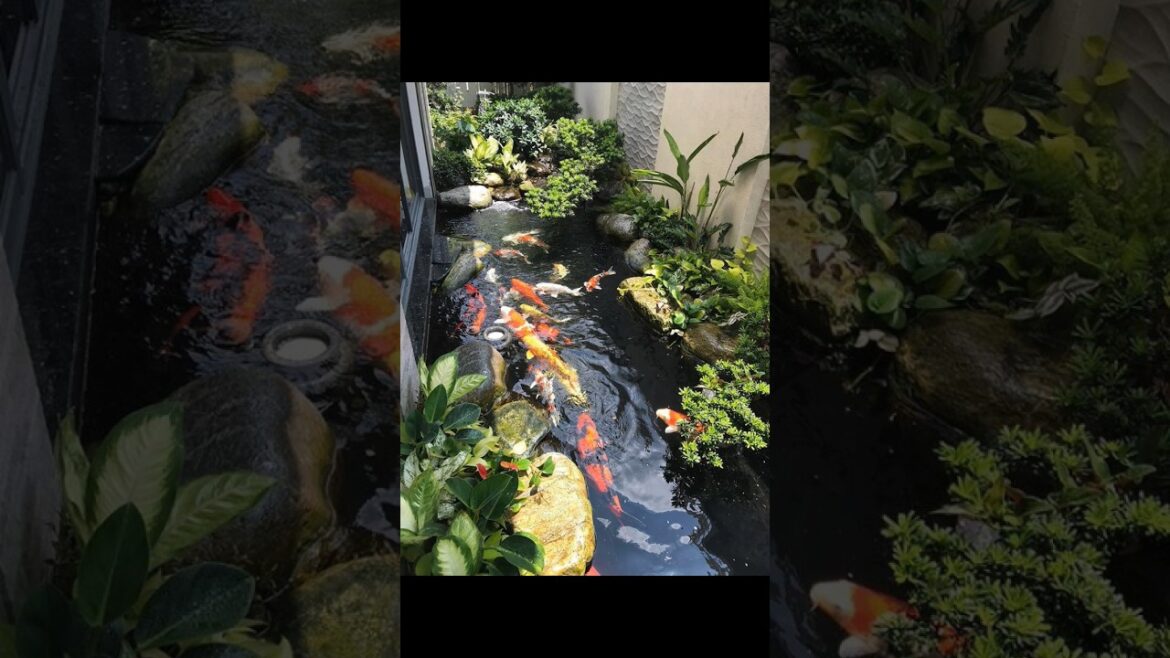 Beautiful Garden Design Ideas Part 2 #garden #gardenplants #homedecor #gardenshorts #shorts