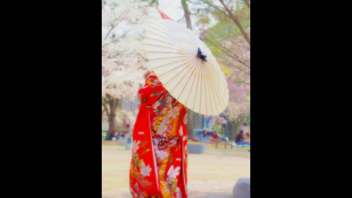 【Japanese Landscape】#shorts #Japan #shrine #garden #view