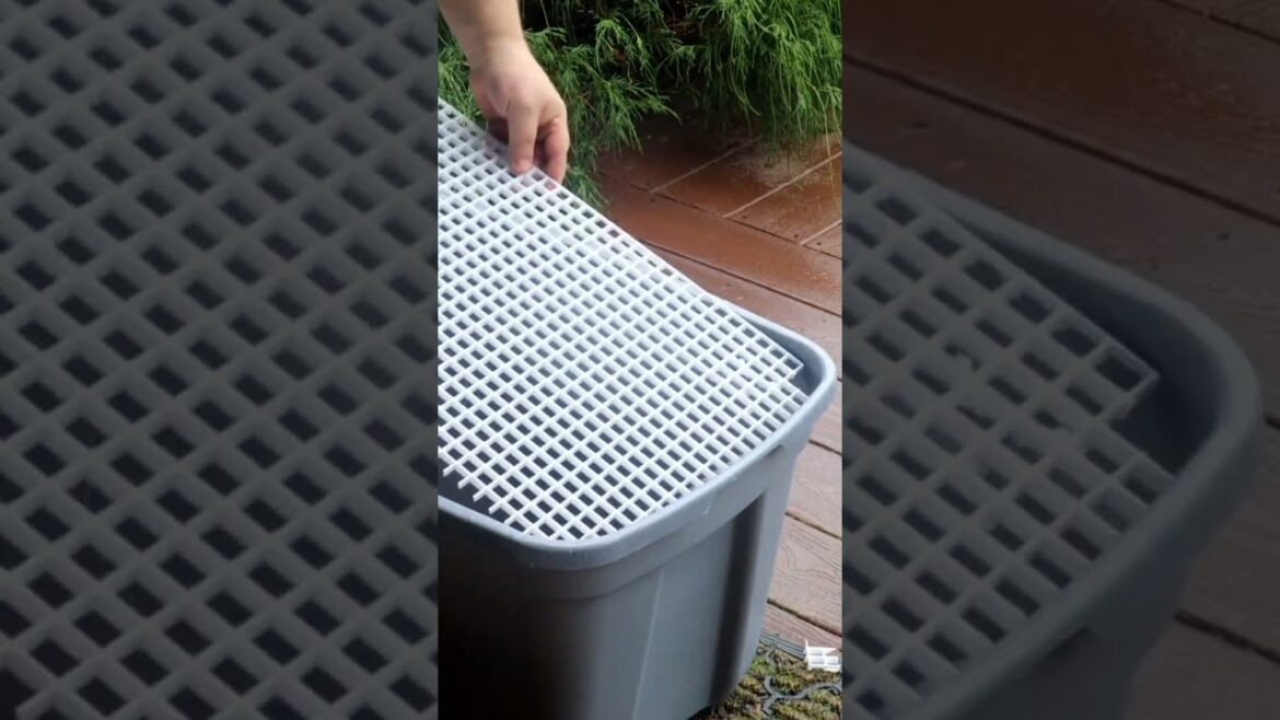 DIY Self Watering Container for Starting Garden Seeds