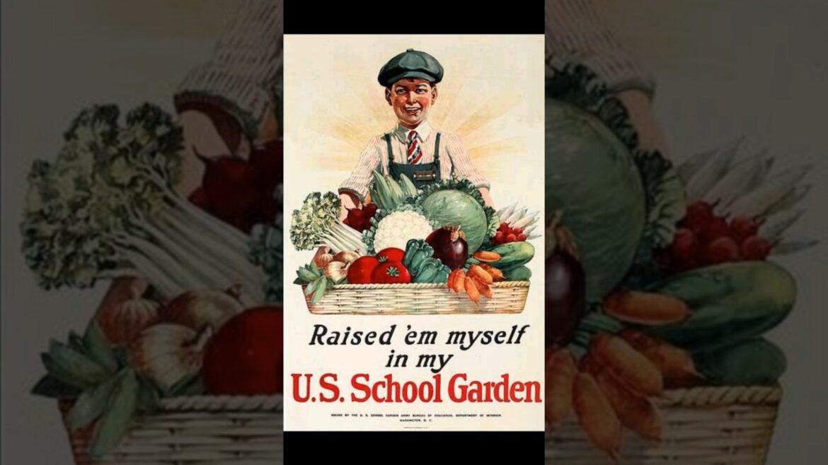 Victory Gardens! what is it? and Why is it important!
