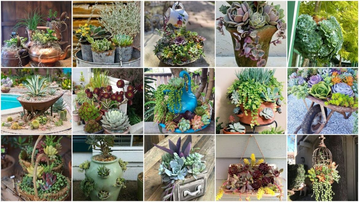 50+ Latest Succulent Garden Ideas that will blow your mind! Must See!