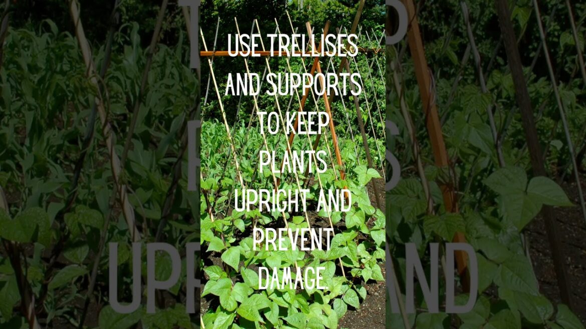 My Top 30 Gardening Tips in 30 Days #garden #plants #tips #march31challenge